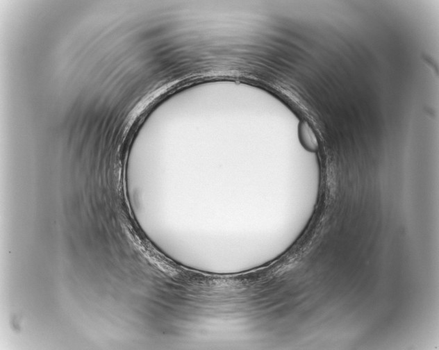 X0000100210933200806271701