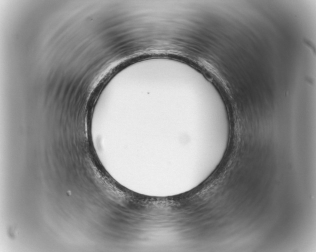 X0000100210934200806271701
