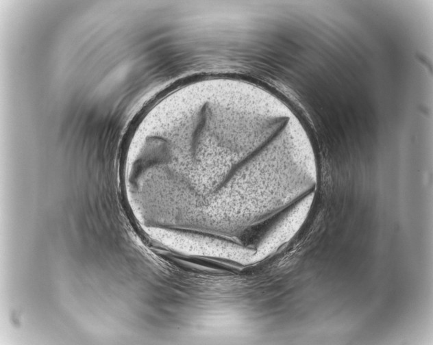 X0000100210935200806271701