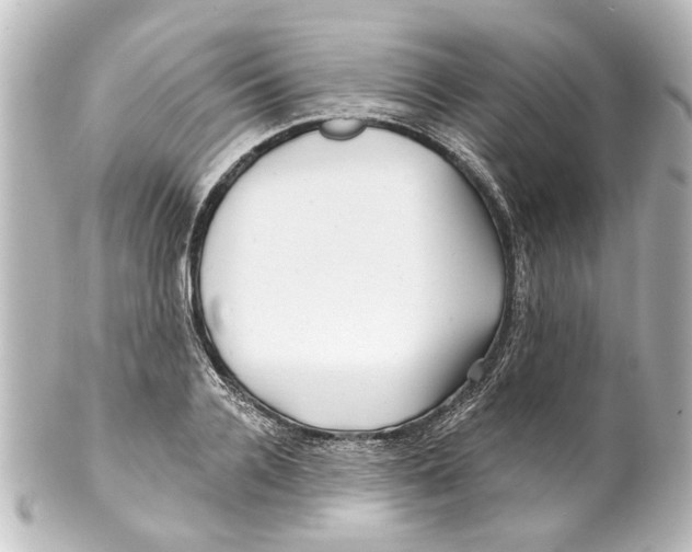 X0000100210936200806271701