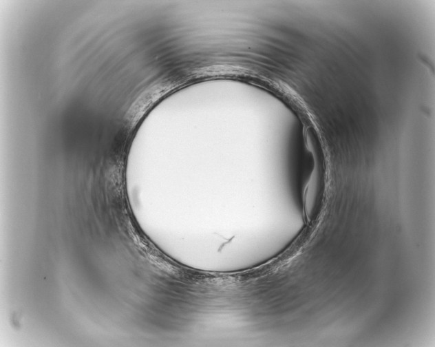 X0000100210937200806271701