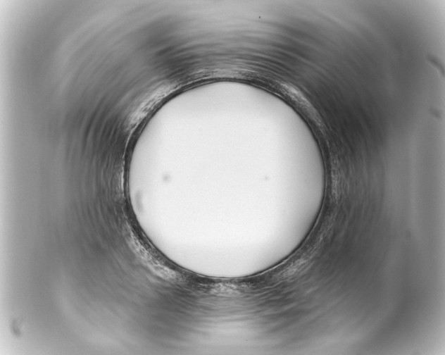 X0000100210938200806271701