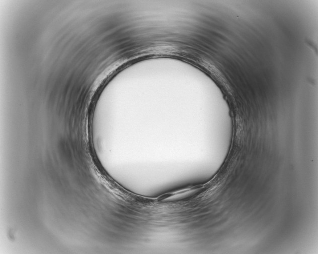 X0000100210939200806271701