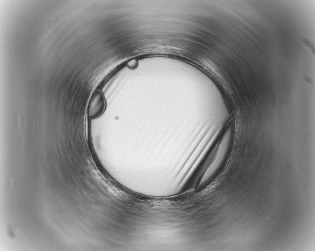 X0000100210940200806271701