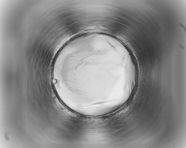 X0000100210941200806271701