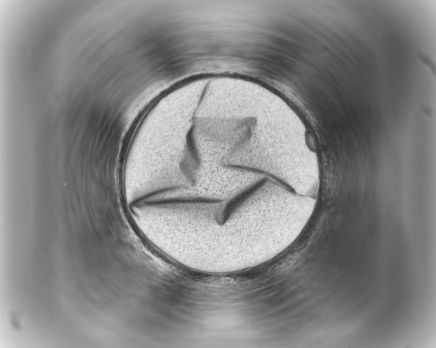 X0000100210943200806271701