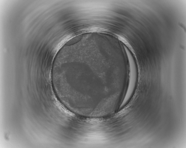 X0000100210946200806271701