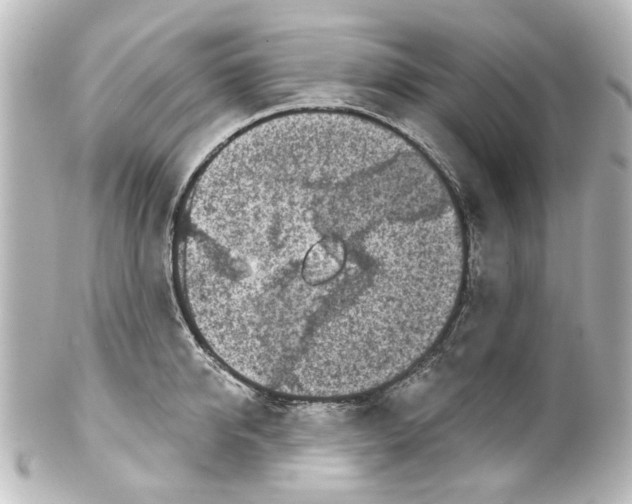 X0000100210950200806271701