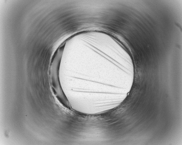 X0000100210951200806271701