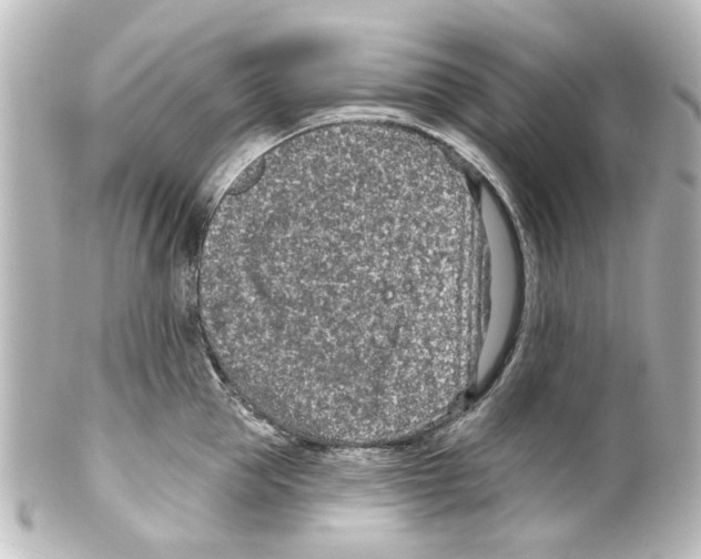 X0000100210953200806271701
