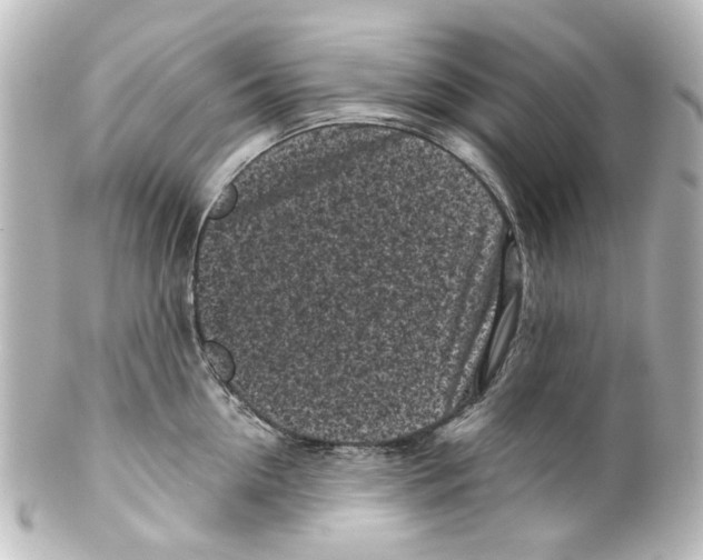 X0000100210954200806271701