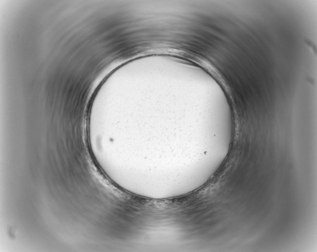 X0000100210955200806271701