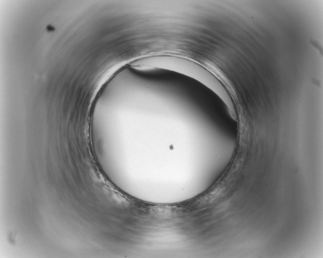 X0000100210956200806271701