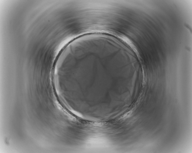 X0000100210958200806271701