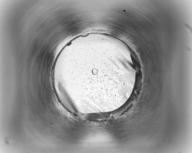 X0000100210960200806271701