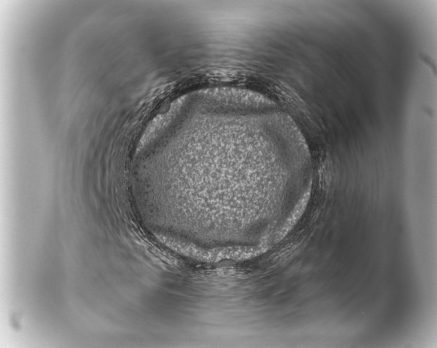 X0000100210961200806271701