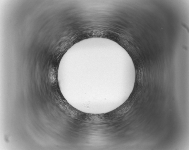 X0000100210962200806271701
