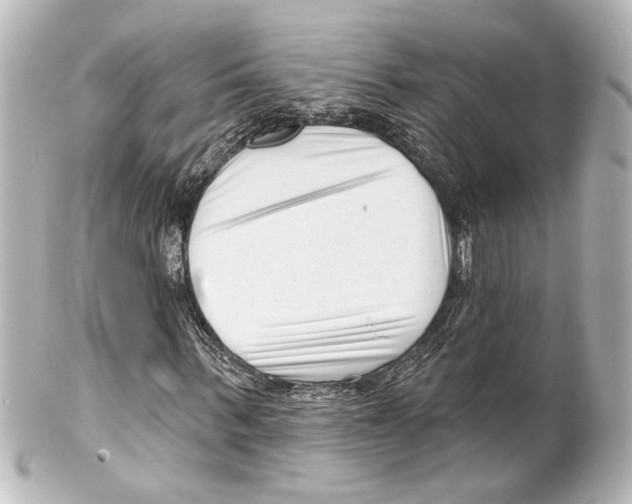X0000100210963200806271701