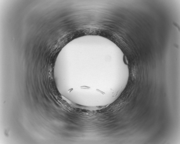 X0000100210964200806271701