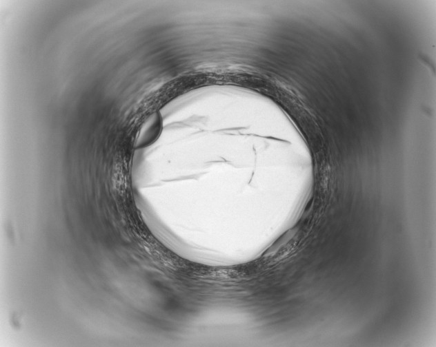 X0000100210966200806271700