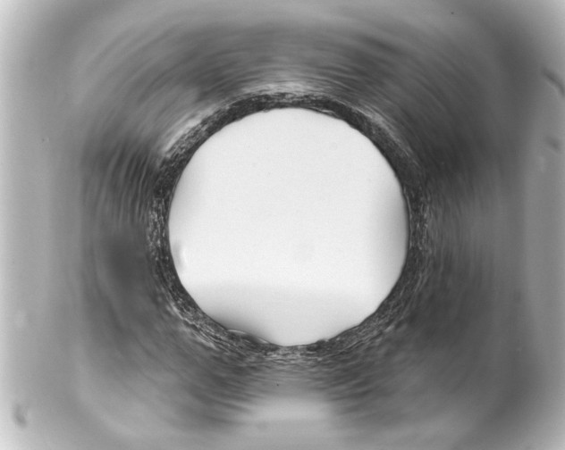 X0000100210967200806271700