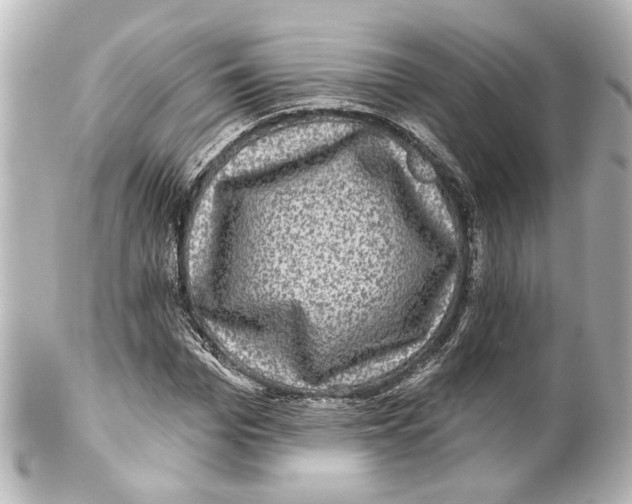 X0000100210969200806271700