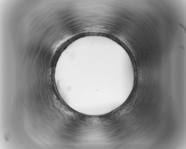 X0000100210971200806271700