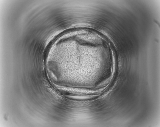 X0000100210973200806271700