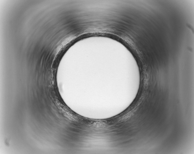 X0000100210974200806271700