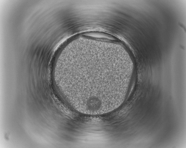 X0000100210975200806271700