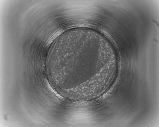 X0000100210977200806271700