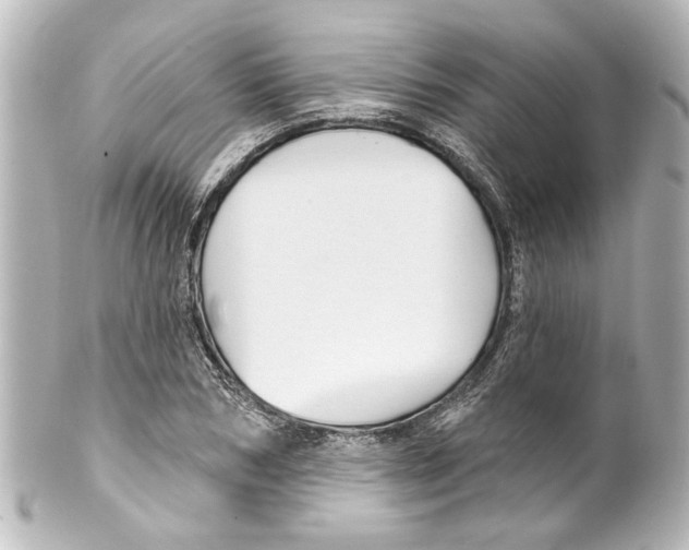 X0000100210978200806271700