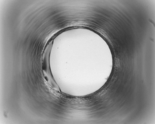 X0000100210980200806271700