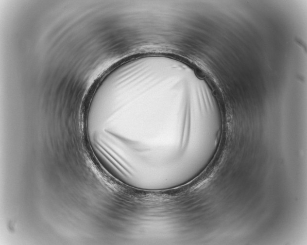 X0000100210981200806271700
