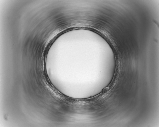 X0000100210982200806271700