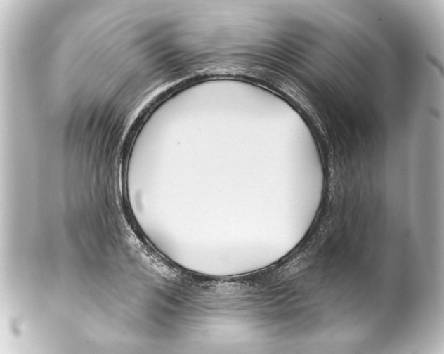 X0000100210984200806271700
