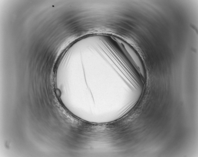 X0000100210990200806271700