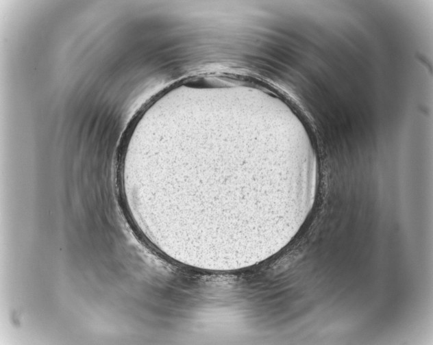 X0000100210991200806271700