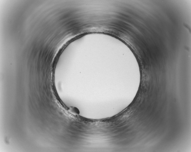 X0000100210992200806271700