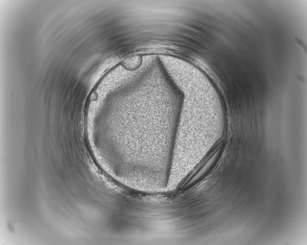 X0000100210994200806271700