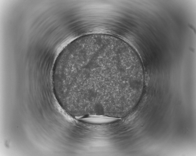 X0000100210995200806271700