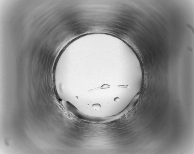 X0000100210996200806271700
