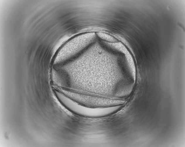 X0000100210997200806271700