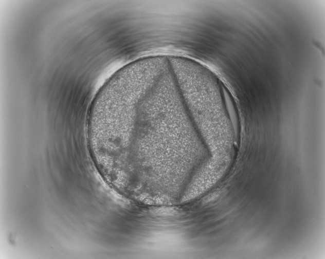 X0000100210998200806271700