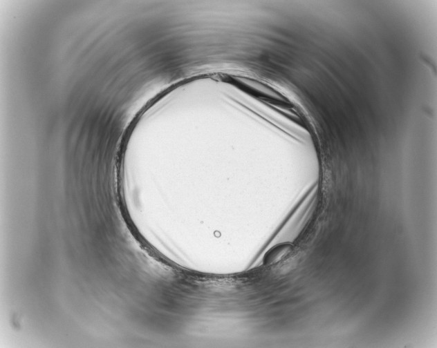 X0000100210999200806271700