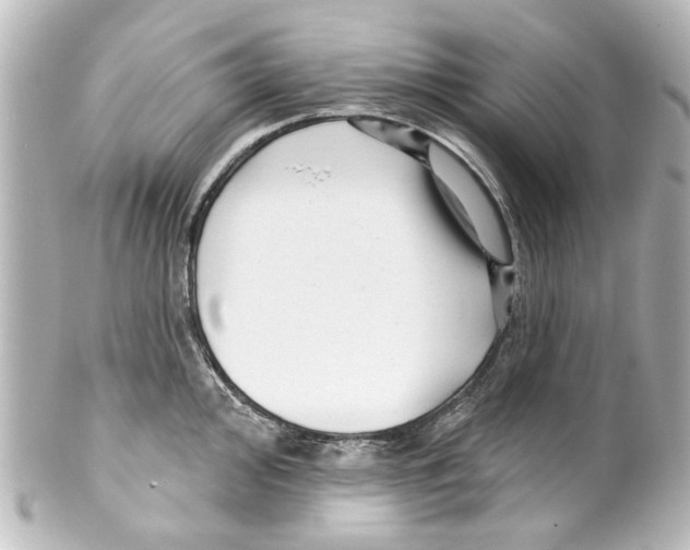 X0000100211000200806271700