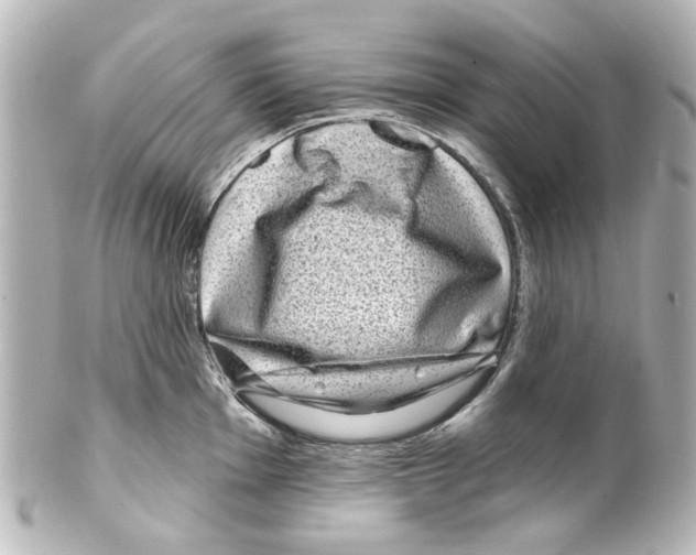 X0000100211001200806271700