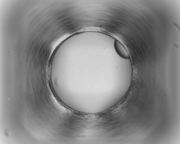X0000100211003200806271700