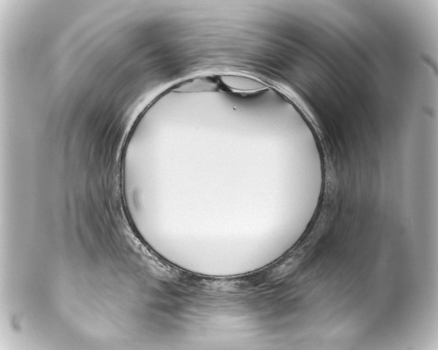 X0000100211004200806271700