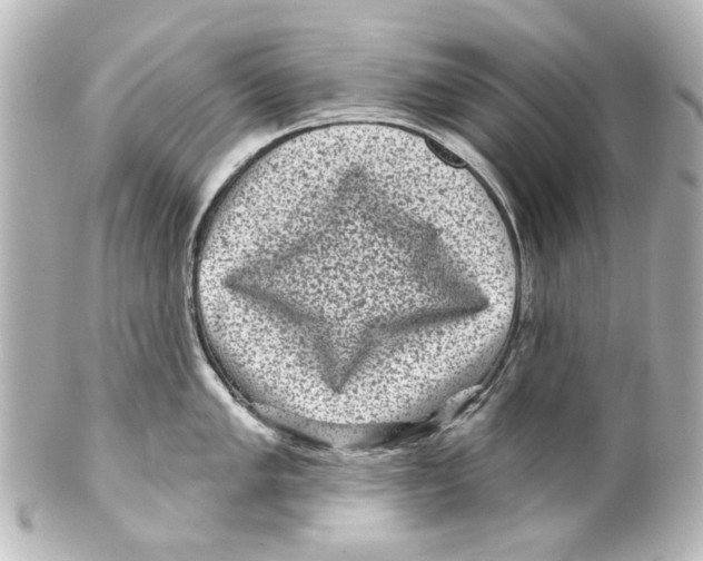 X0000100211005200806271700